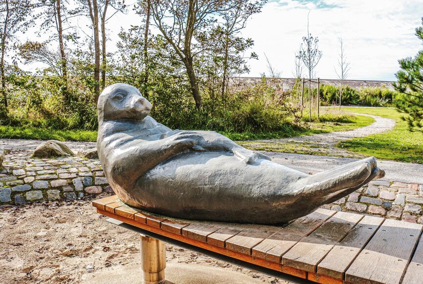 Kegelrobben-Spielplatz