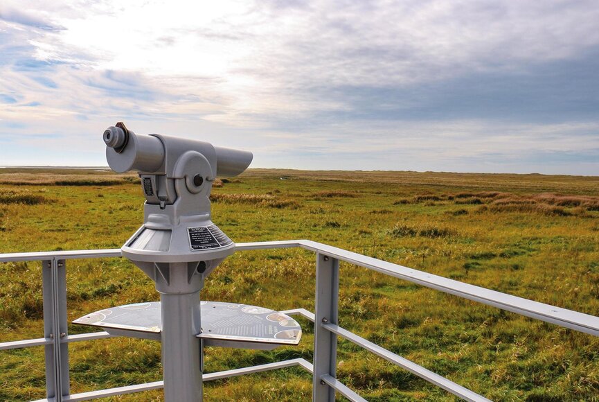 Aussichtsplattform mit Fernglas und Blick auf die Salzwiesen