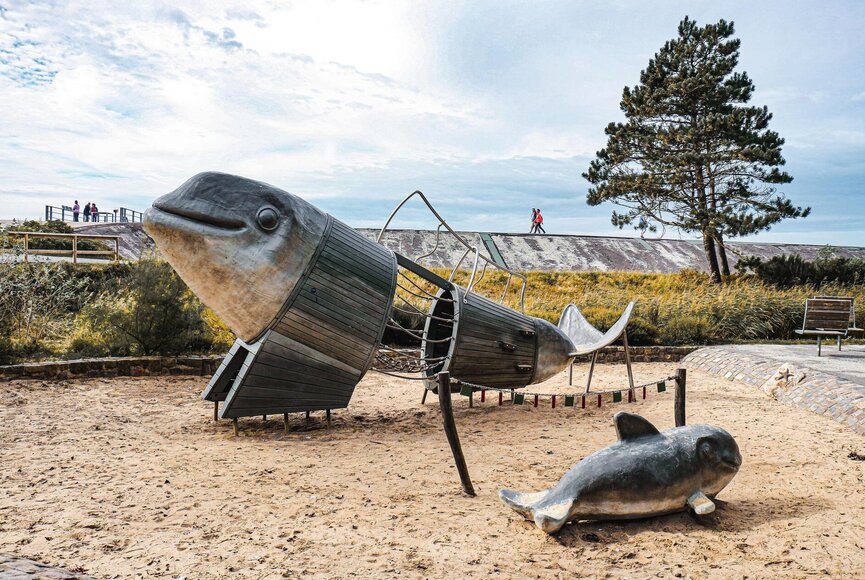 Schweinswal-Klettergerüst