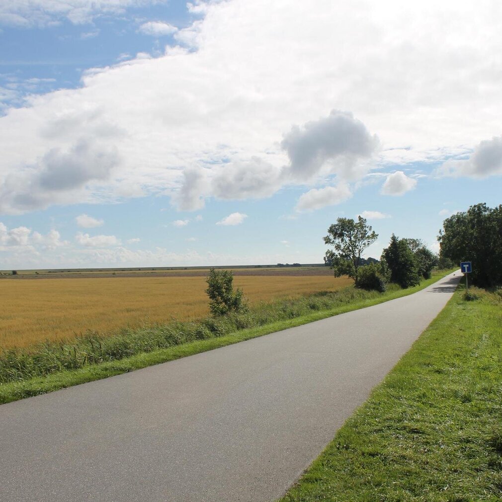 Feldweg im Grothusenkoog