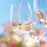 Wein Gläser Impression