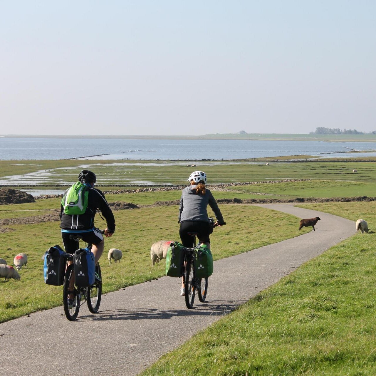 Fahrradfahrer in Tating