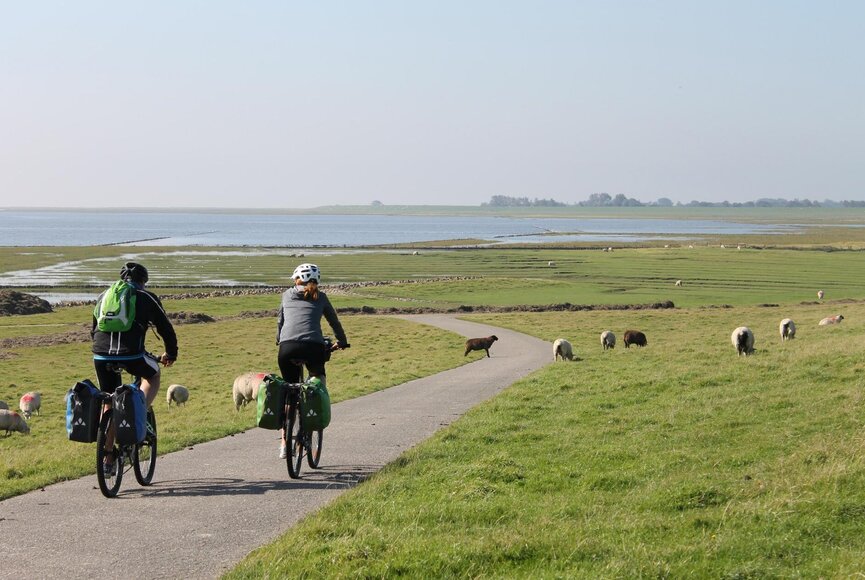 Fahrradtour am Deich von Ehstensiel