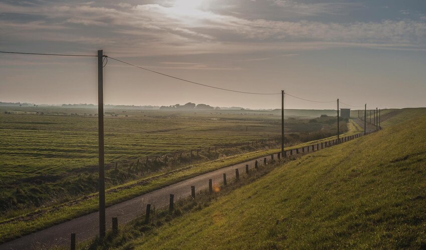 Süddeich in Westerhever