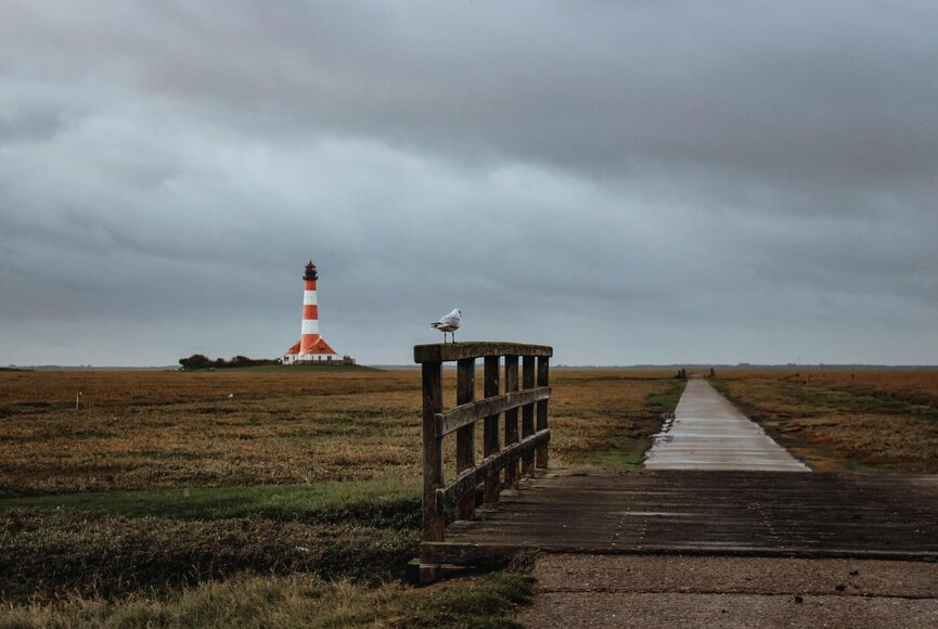 Braungefärbte Salzwiesen am Westerhever Leuchtturm