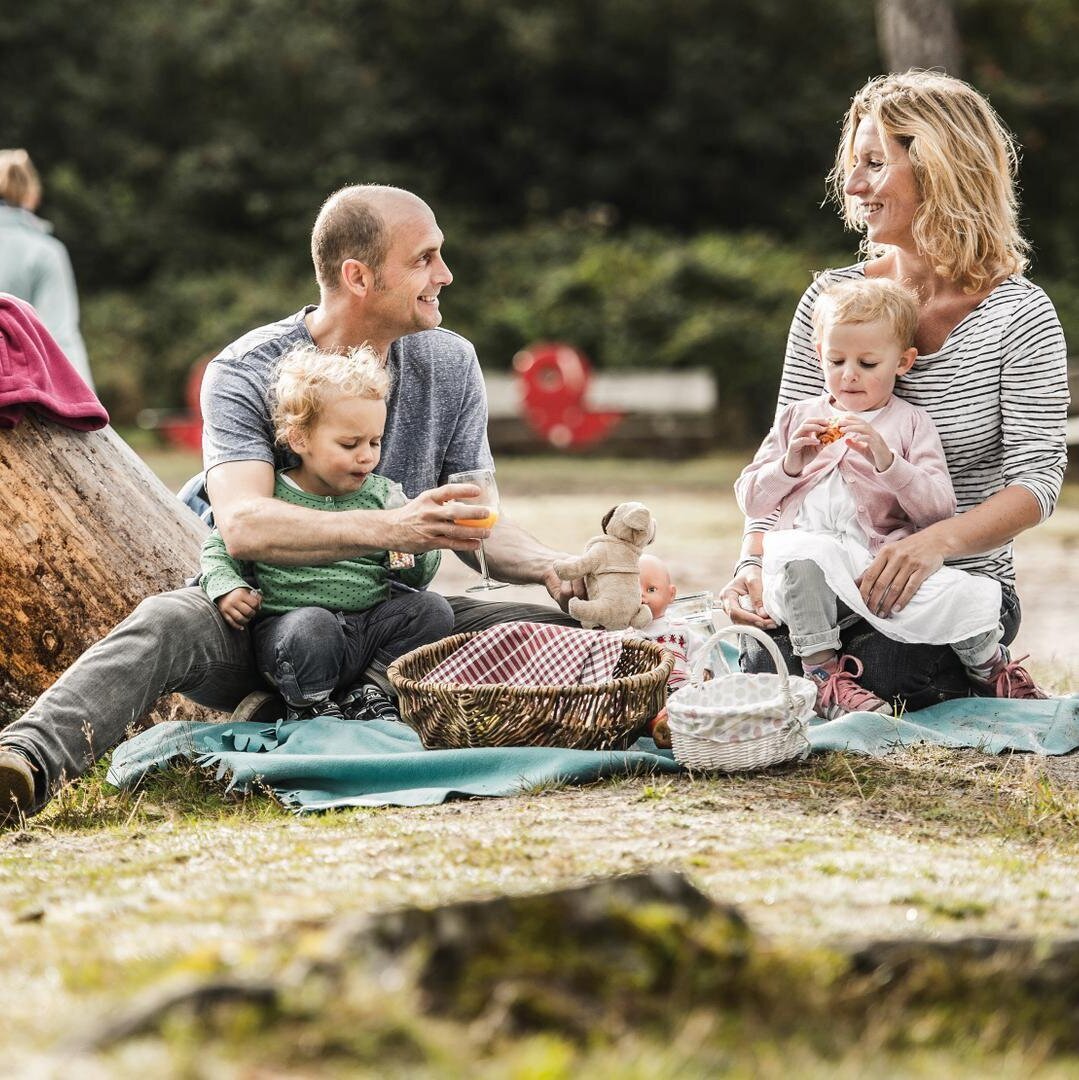 Familie mit kleinen Kindern beim Picknick