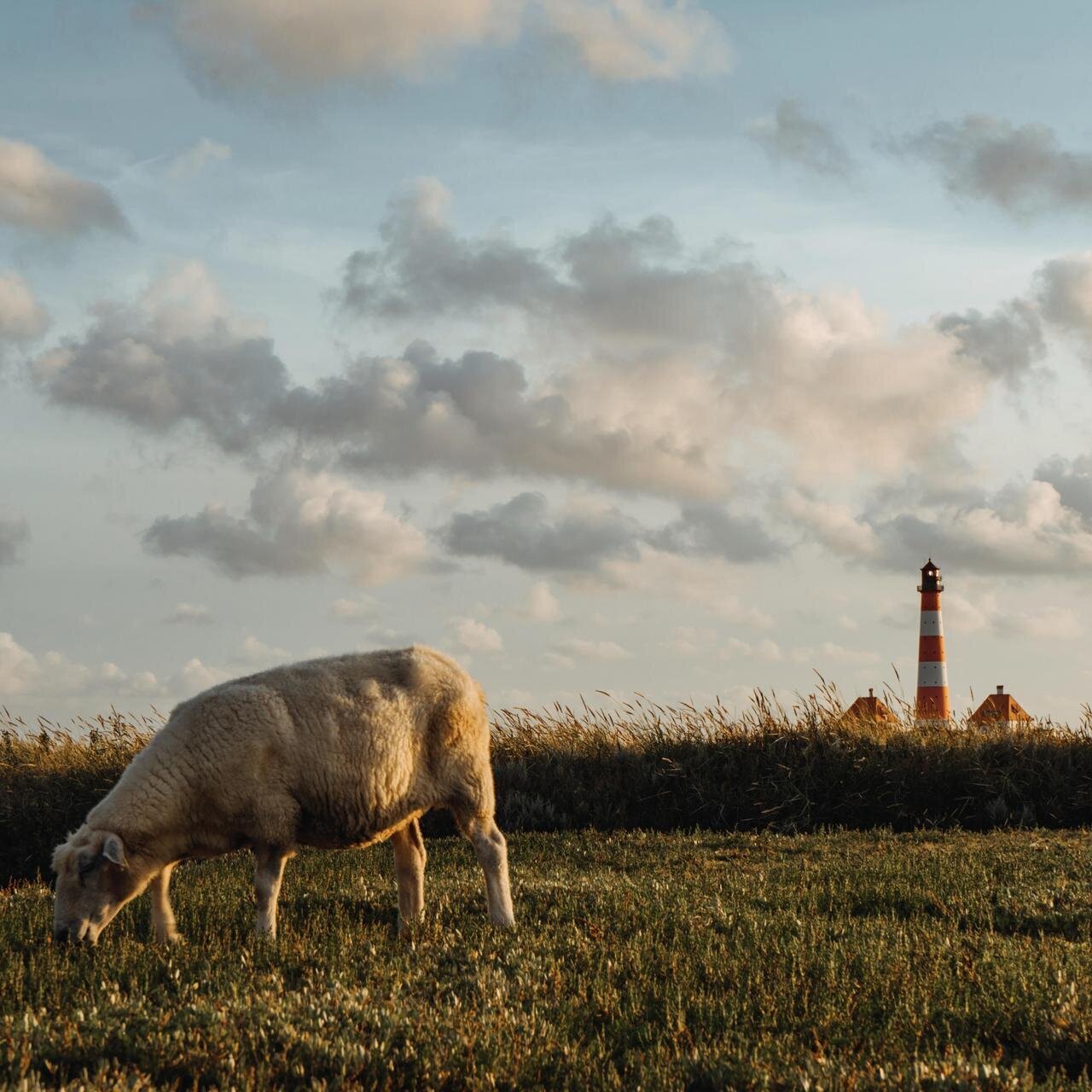 Nordsee-Urlaub in St. Peter-Ording und auf Eiderstedt