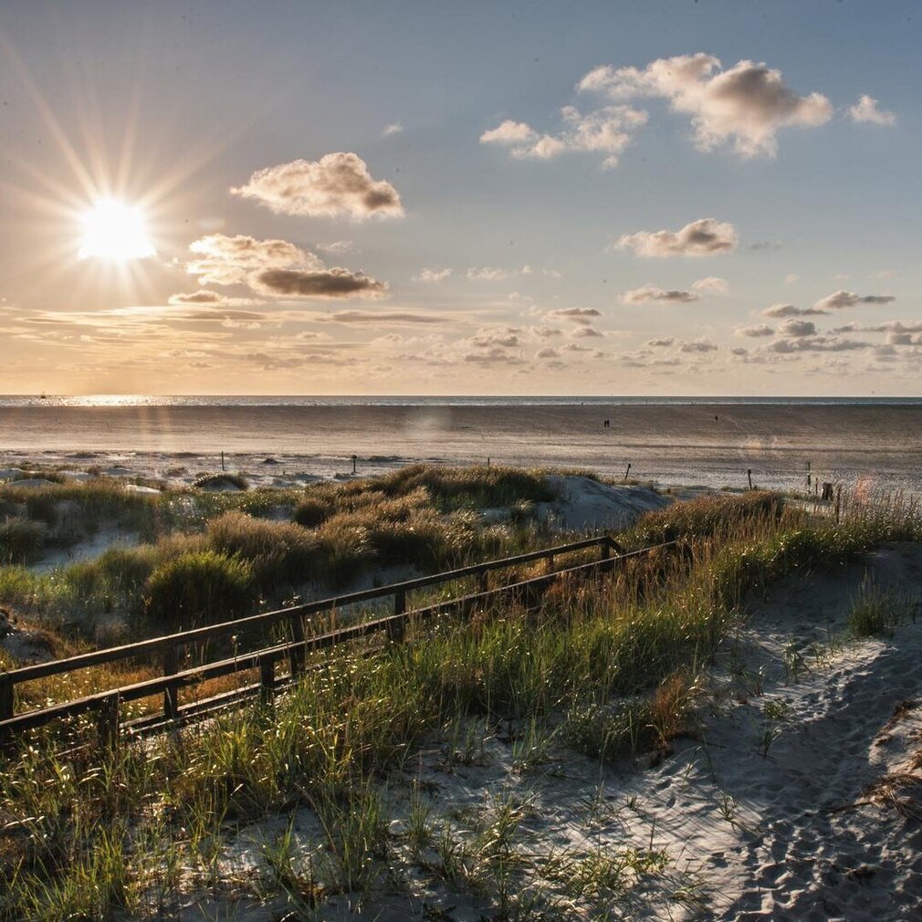 Steg in den Dünen bei Sonnenuntergang