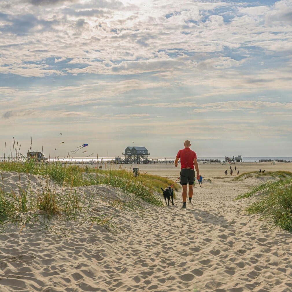 gassirunde-ording-oliver-franke Gassirunde am Ordinger Strand