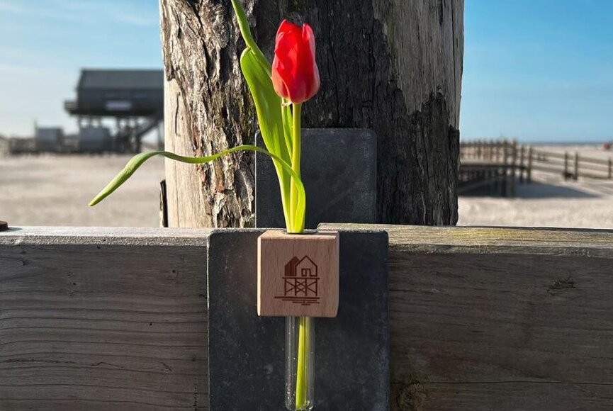 Magnetische Blumenvase mit einer Tulpe 