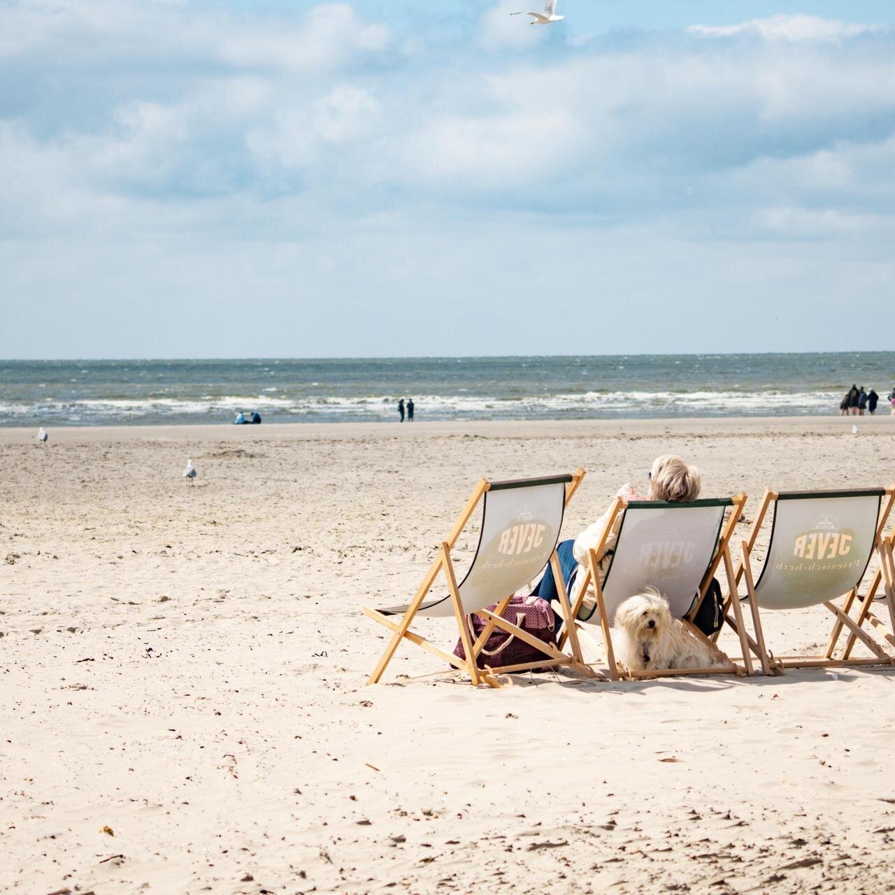 Frau und Hund am Strand in Liegestuhl