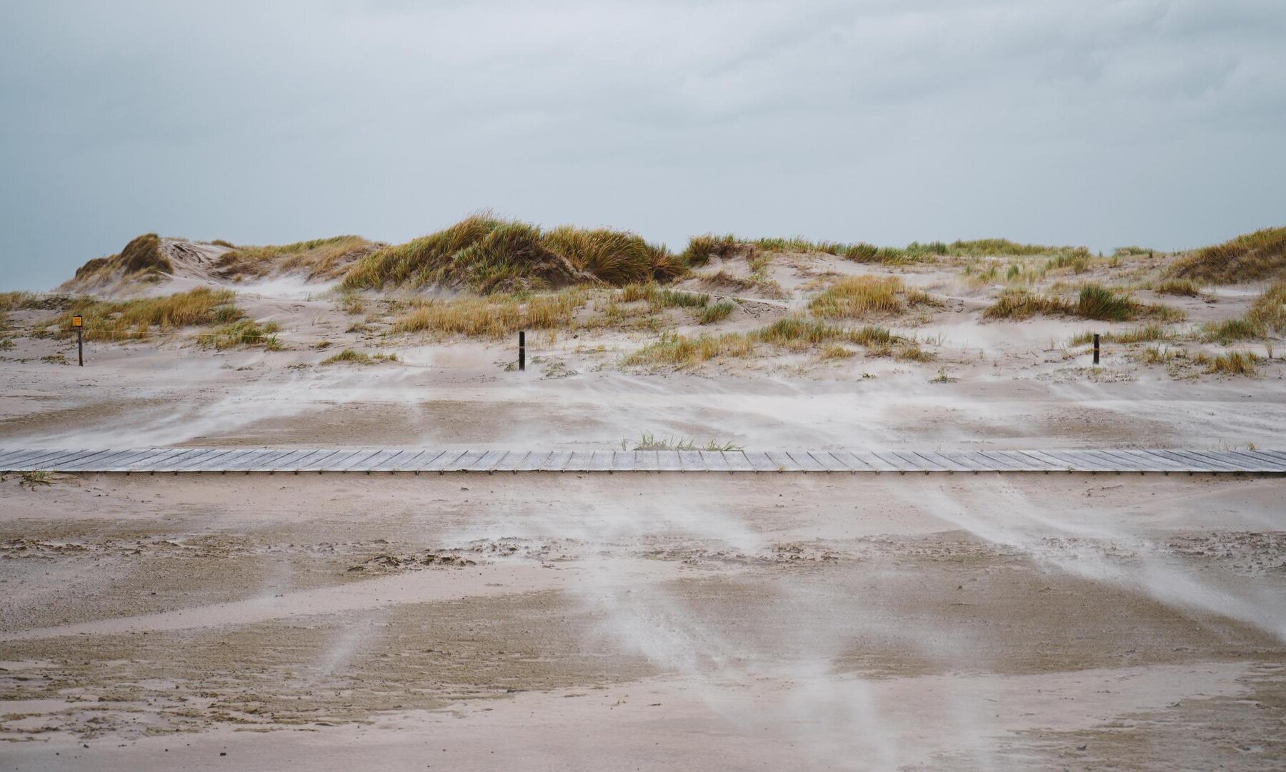 Sturmflut & Seenebel St. PeterOrding &