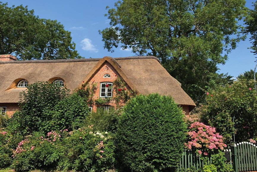 Reetdachhaus im Grünen in Tetenbüll
