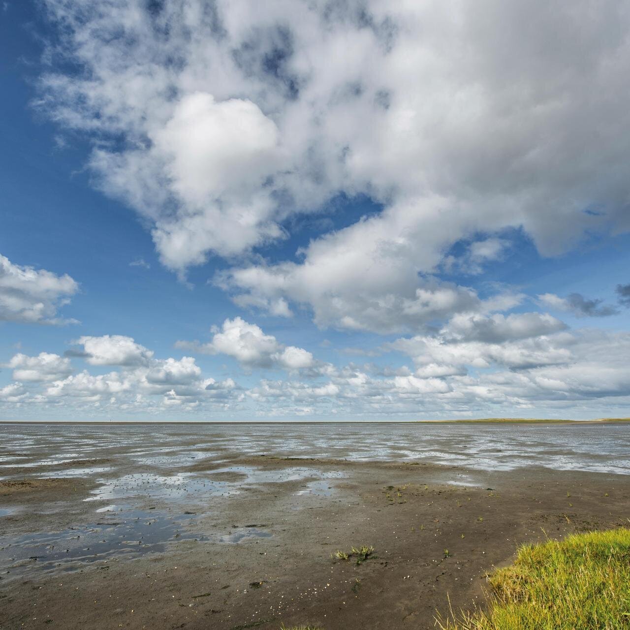 Wattkante an den Salzwiesen