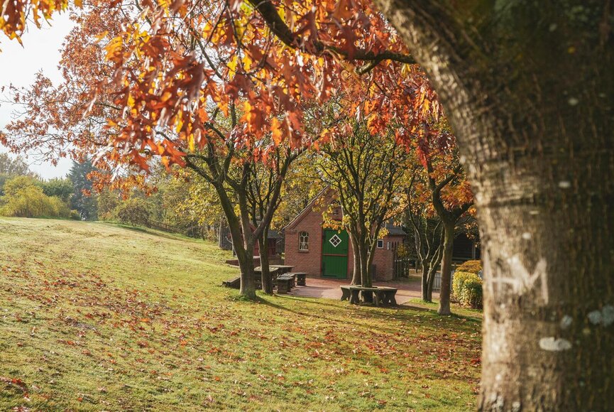 Die historische Insel in SPO mit Herbstbäumen