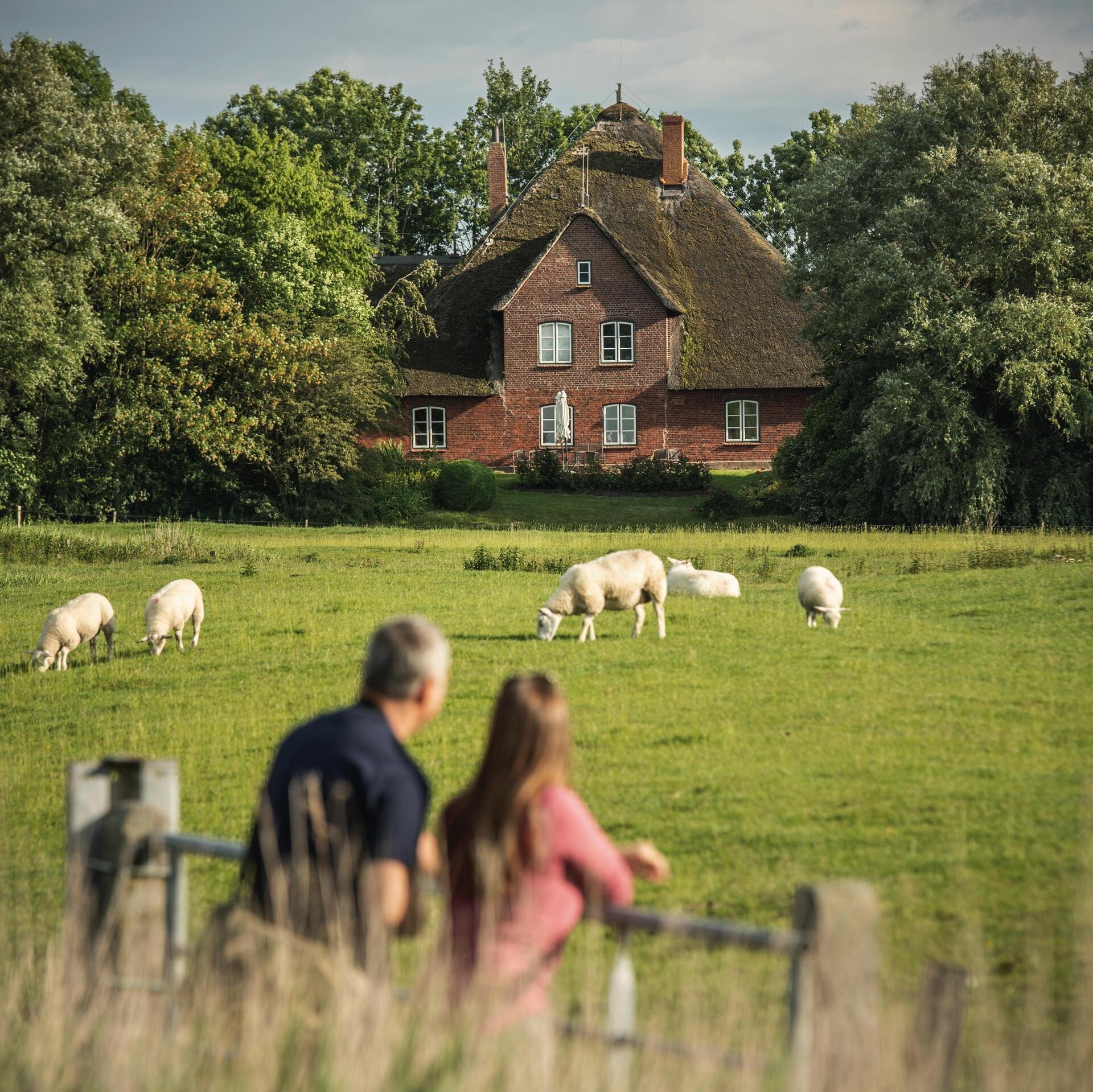 Paar blickt auf den Haubarg in Tetenbüll