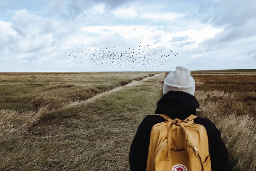 Mann beim Outdoor Escape vor der Kulisse des Vogelzugs über den Salzwiesen