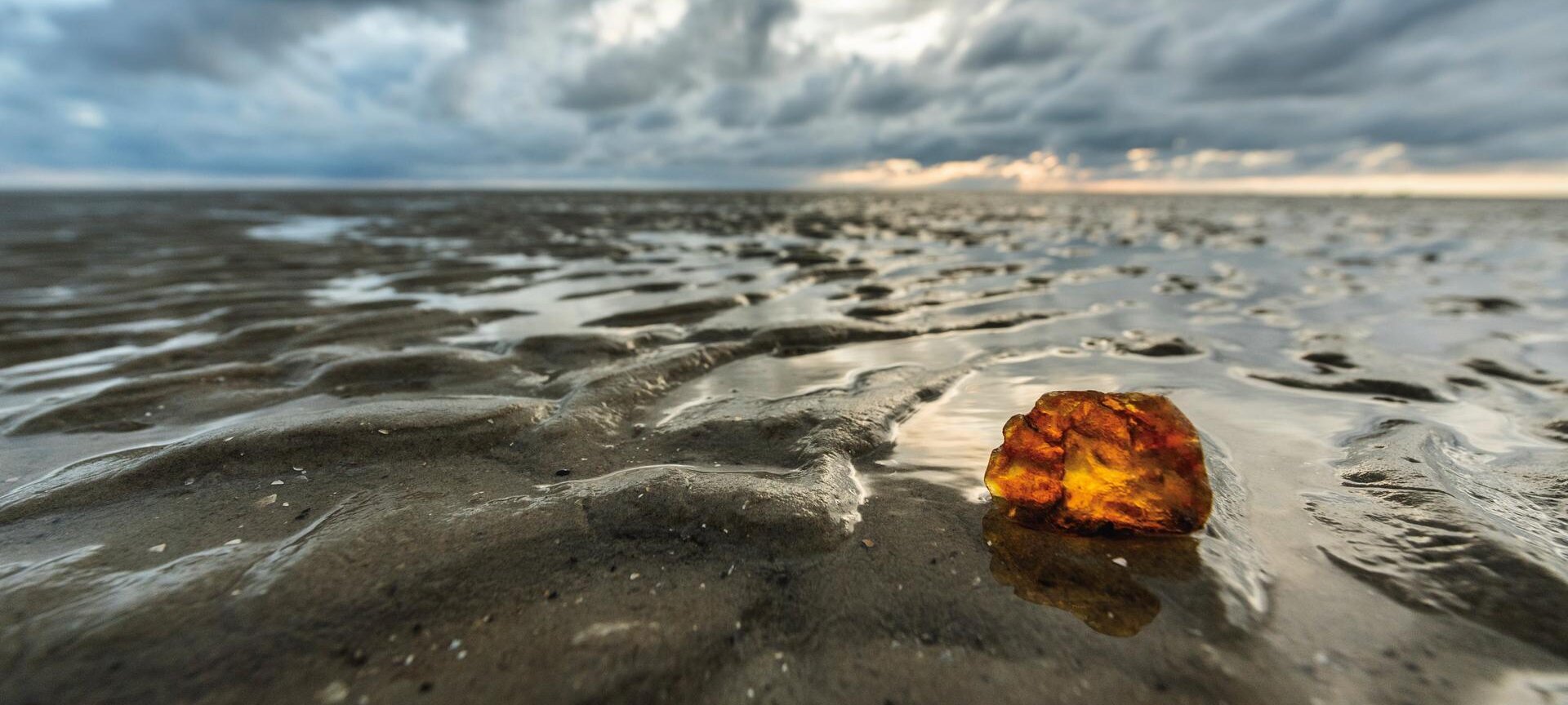 Bernstein im Watt der Nordsee