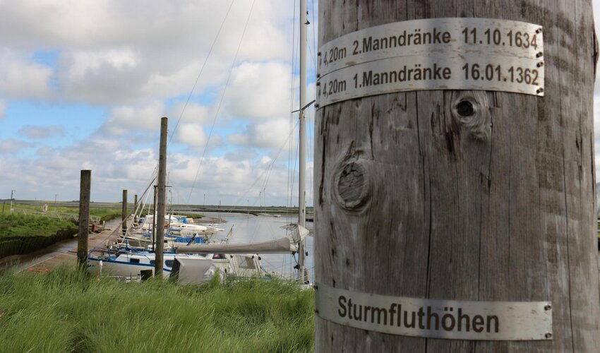 Sturmflutmarken im Tümlauer Koog