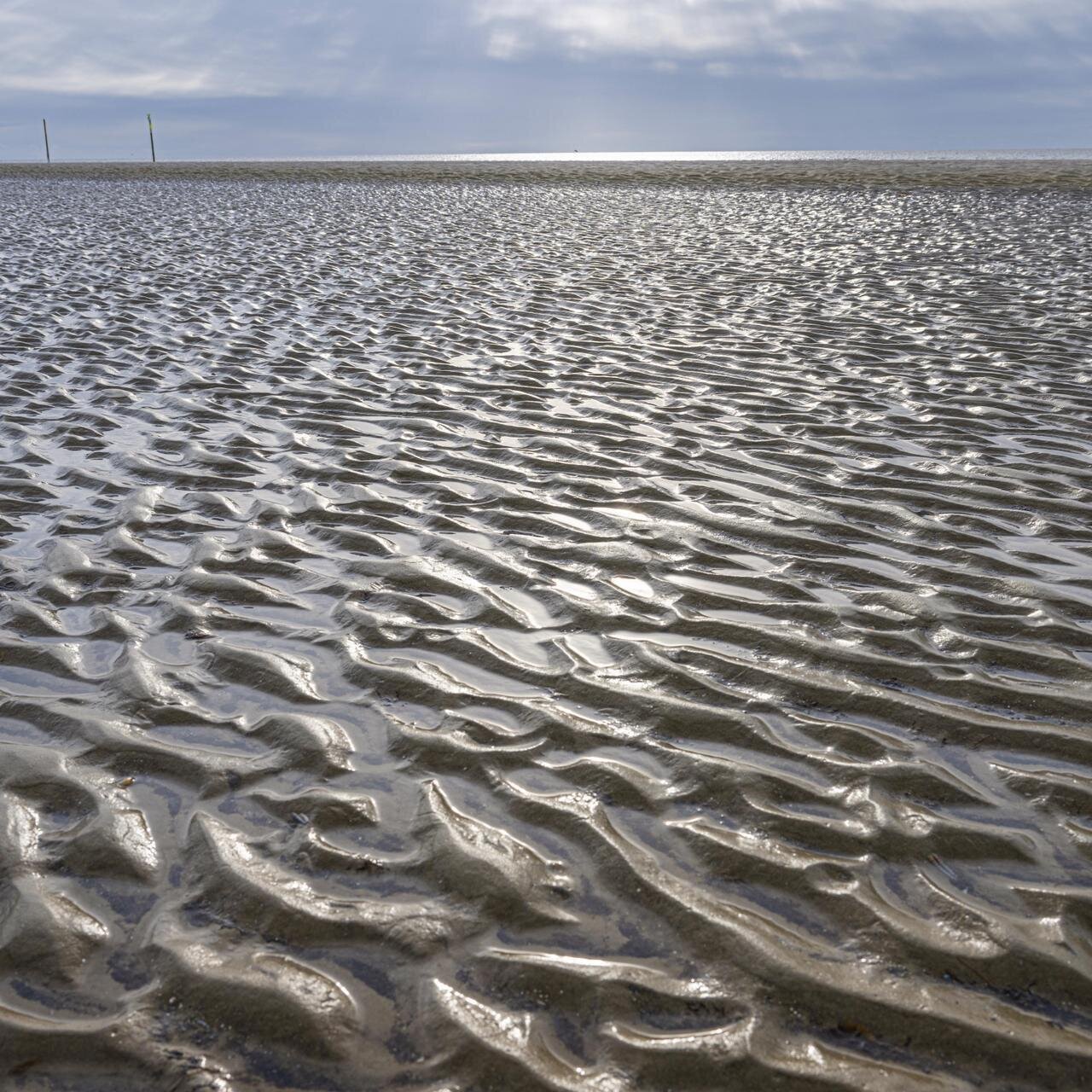 Wattstruktur im Sonnenlicht