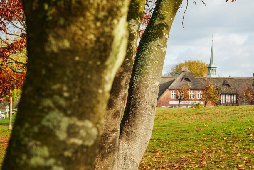 Ein Deich voller Herbstlaub