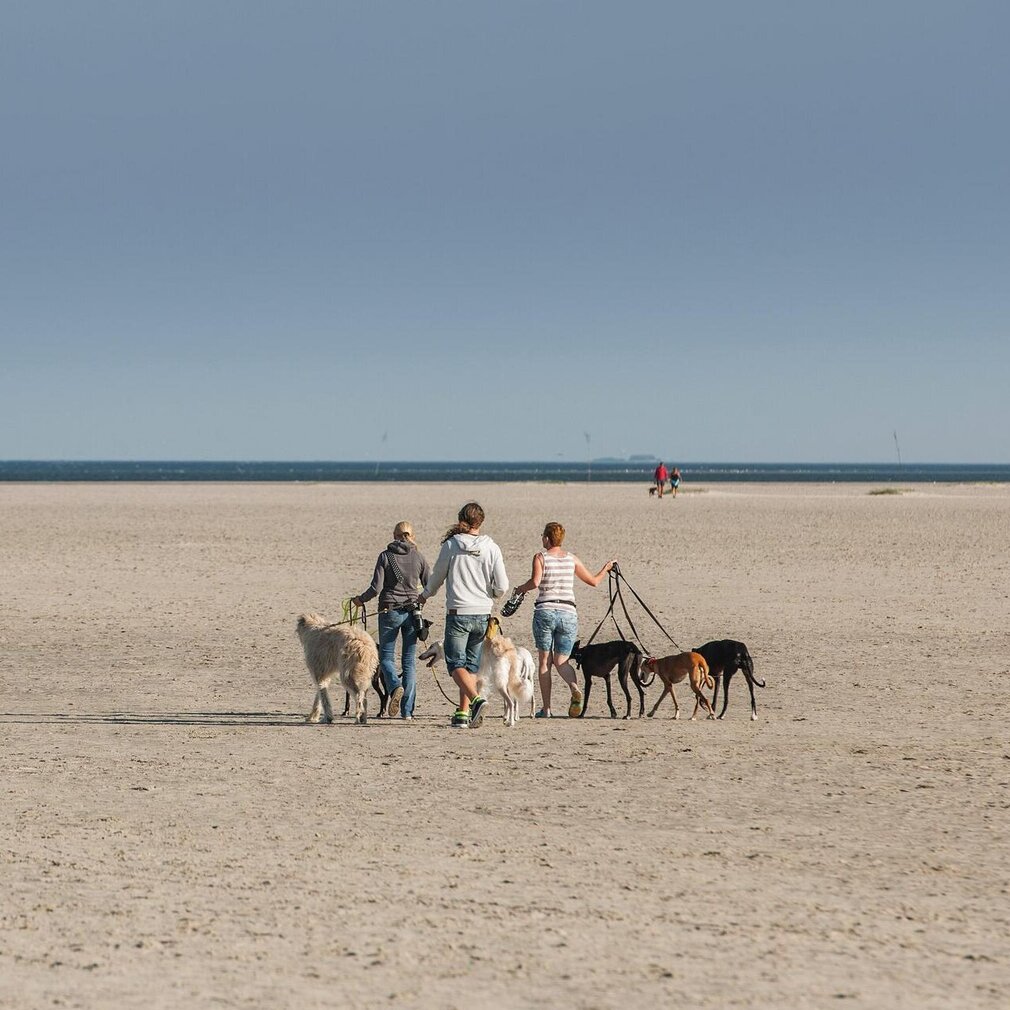 3 Personen mit Hunden im Hundeauslaufgebiet