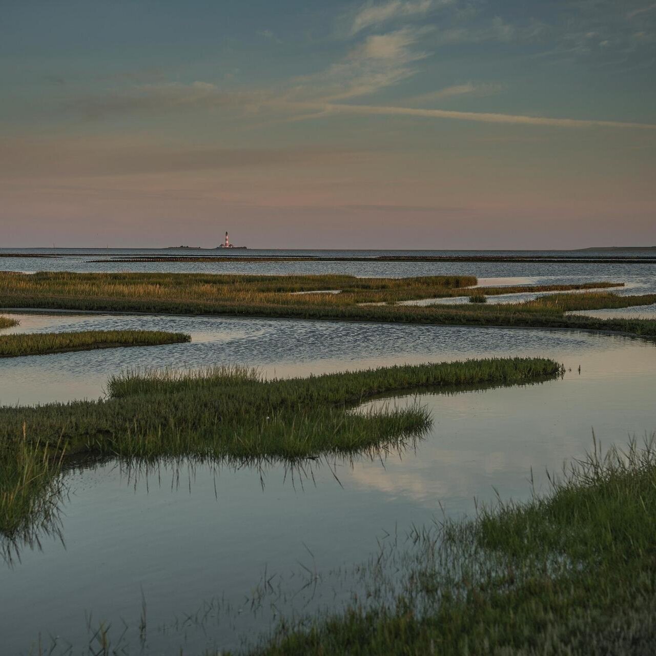 Landschaft im Tümlauer Koog am Abend