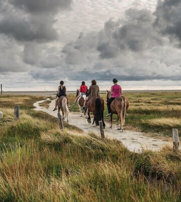 4 Reiter auf ihren Pferden in den Böhler Salzwiesen
