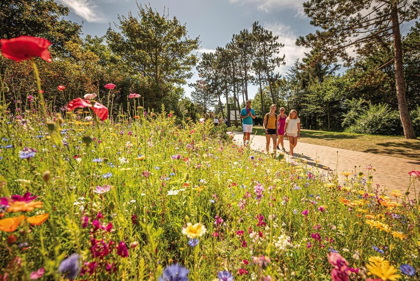 Familie entlang einer Wildblumenwiese auf der Erlebnis-Promenade