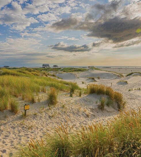 Dünenlandschaft mit Pfahlbauten im Hintergrund
