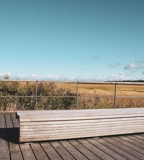 Seebrücke im Frühling 