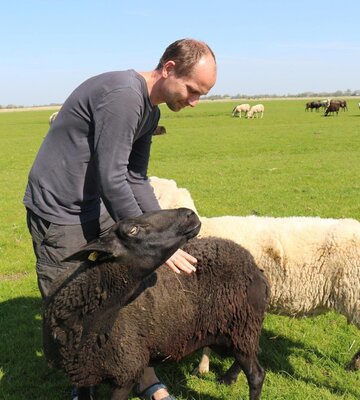 Mann mit einem hellen und einem dunklen Schaf auf grüner Wiese