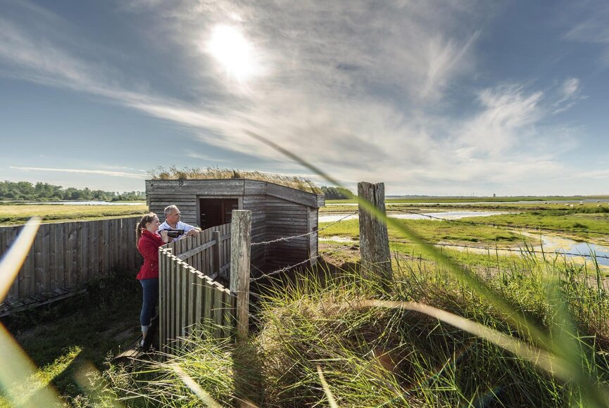 Hütte am Lehrpfad im Katinger Watt
