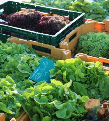 frisches Gemüse auf einem Stand beim Wochenmarkt