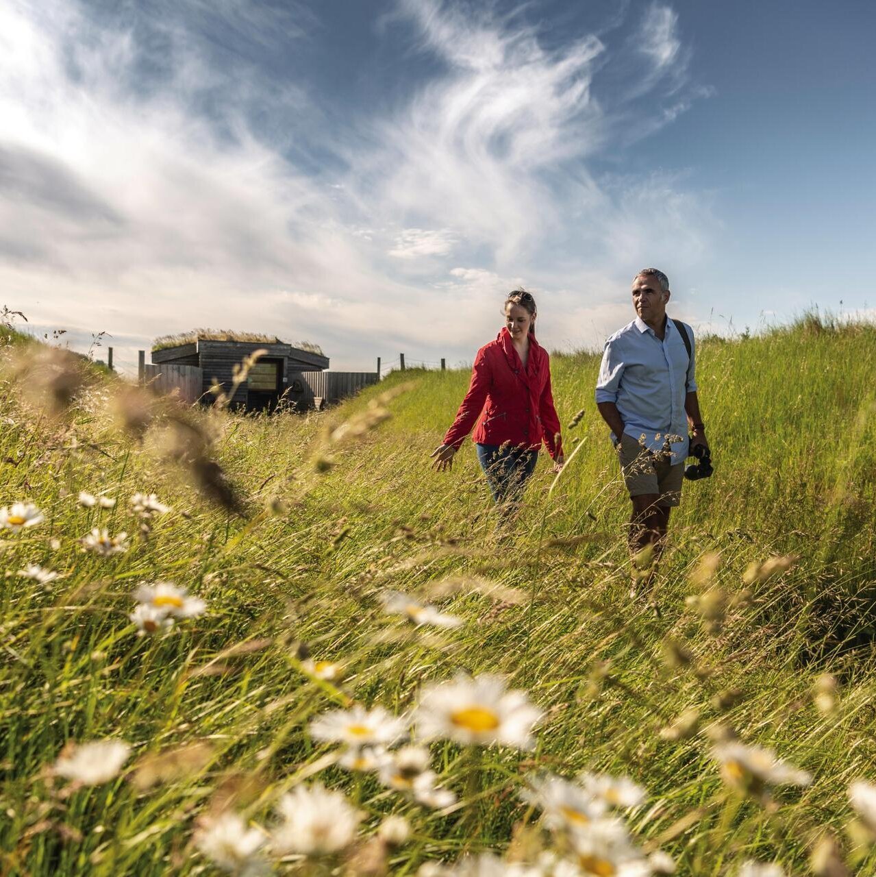 Paar spaziert über grüne Wiese mit hohem Gras im Katinger Watt