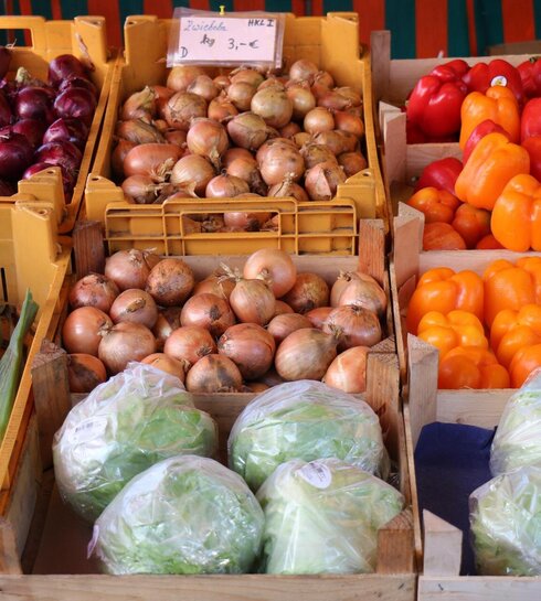 Cabbage, onions, and bell peppers for sale at the weekly market