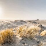 Dünen-Landschaft bei Sonne