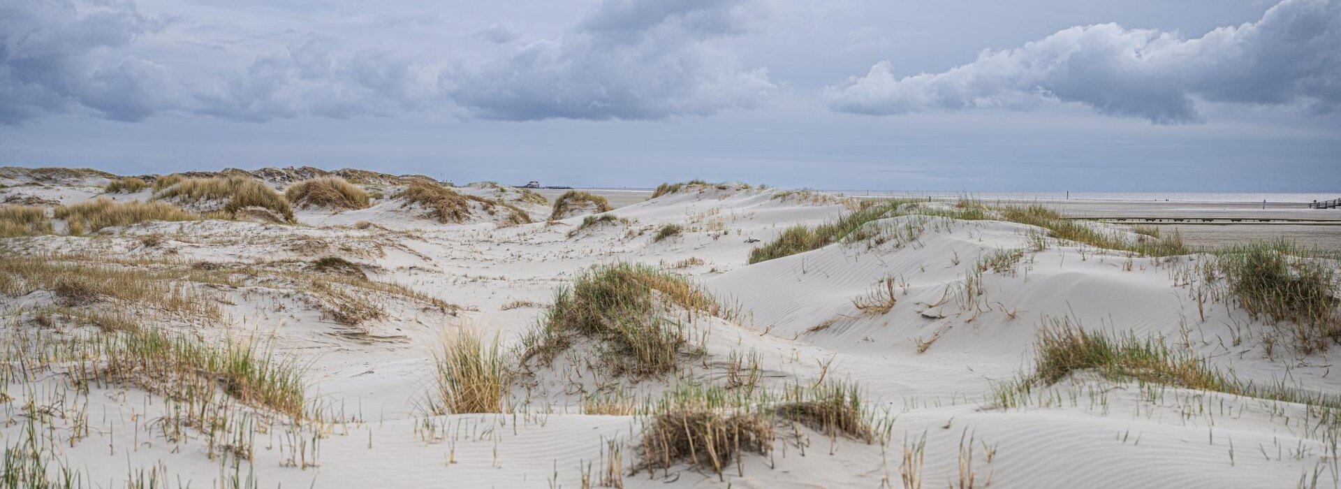 Dünenlandschaft am Strand von St. Peter - Ording