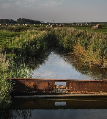 Sielzug mit grüner Fenne, Deich und Westerhever Leuchtturm im Hintergrund