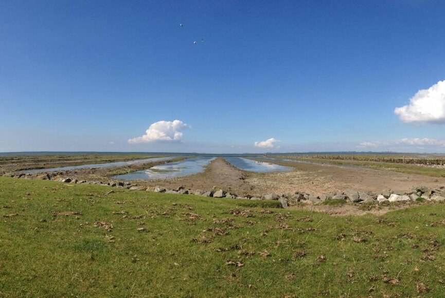 Blick auf die ländliche Idylle