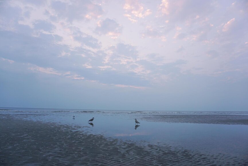 Abendhimmel am Strand mit Möwen
