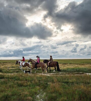 Reitgruppe auf dem Reitweg durch die Salzwiesen in Böhl