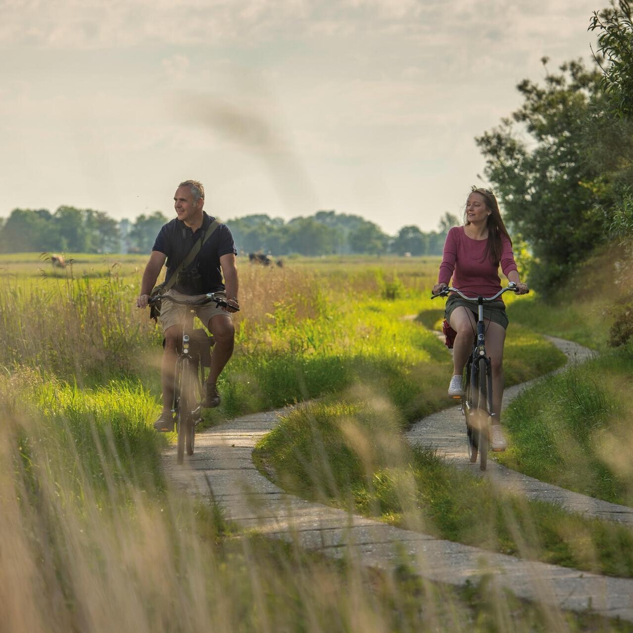 Radfahren im Feldweg