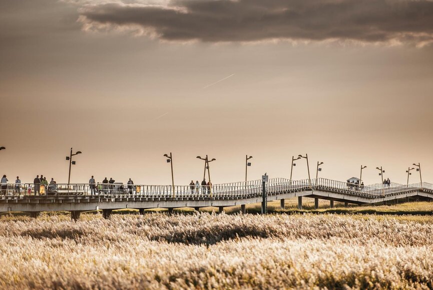 seitlicher Blick auf die Seebrücke von weiter weg
