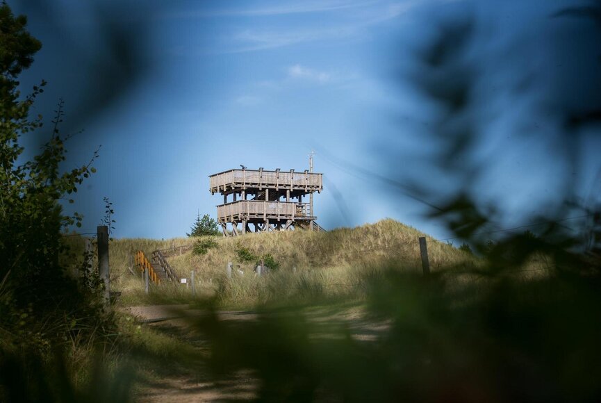 Aussichtsturm Maleens Knoll
