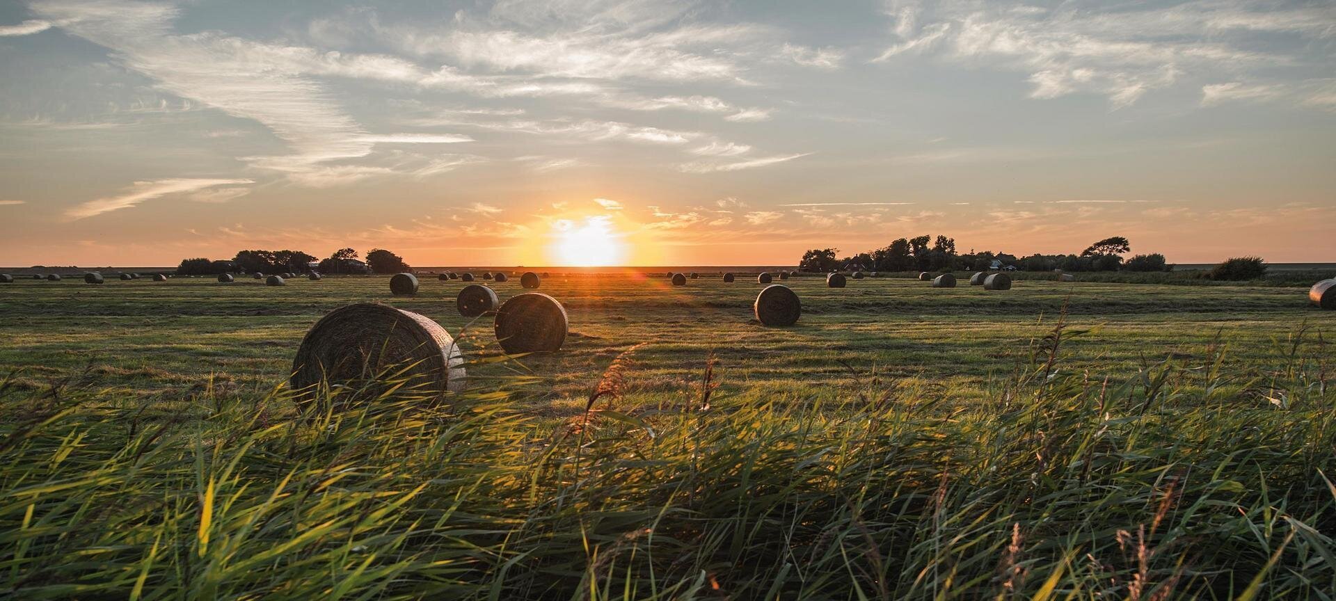 Heuballen auf einer Wiese im Sonnenuntergang