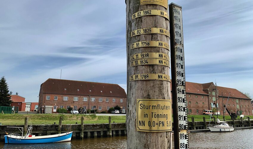 Flutpfähle mit Flutmarken im Tönninger Hafen