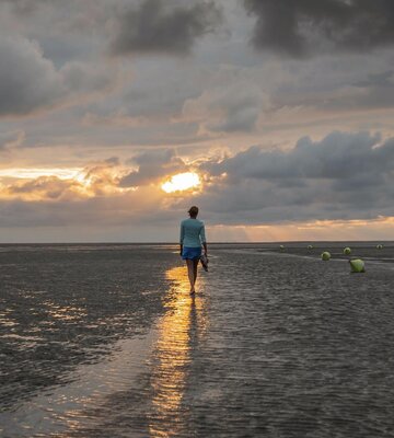 Spaziergänger beim Sonnenuntergang im Watt