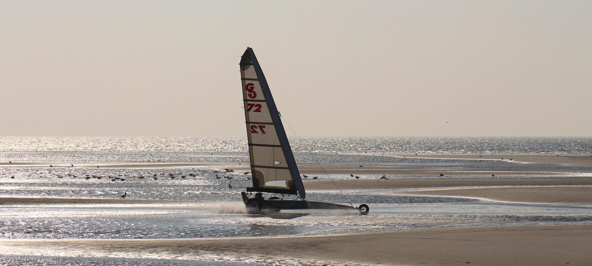 Strandsegler während der Fahrt über den nassen Strand