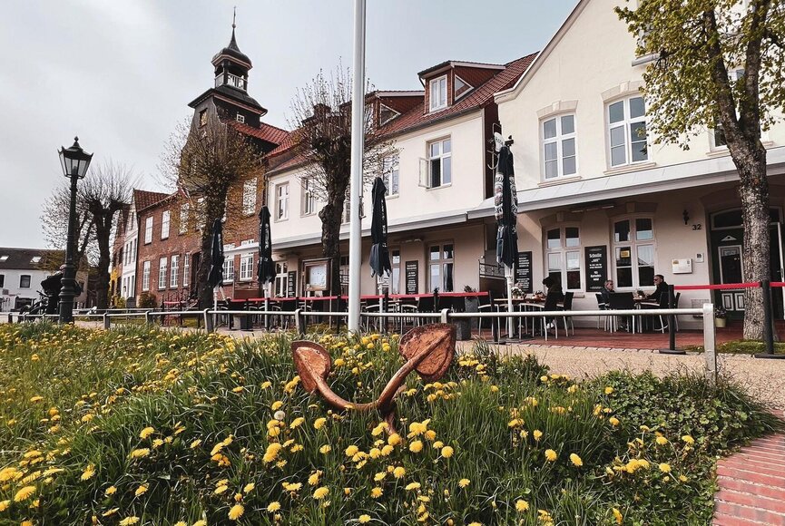 Alte Häuser am Tönninger Hafen. Davor ist ein grüner Rasenstreifen mit vielen gelben Blumen.